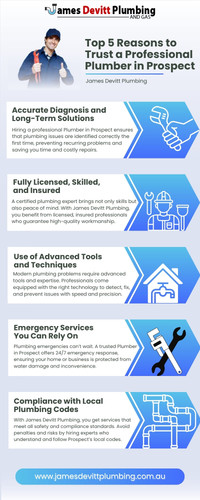 Plumber Prospect.jpg