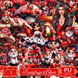 BC LadybugsAndElves