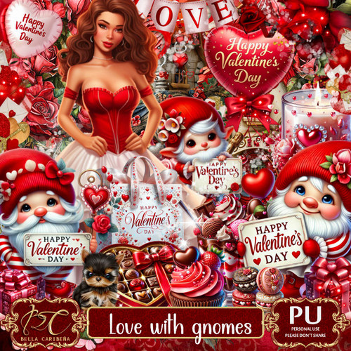 BC LoveWithGnomes.jpg