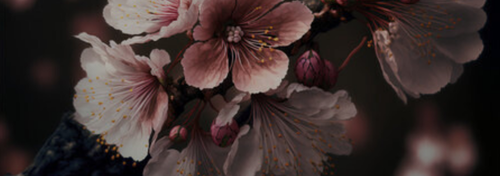 Untitled design (12).png