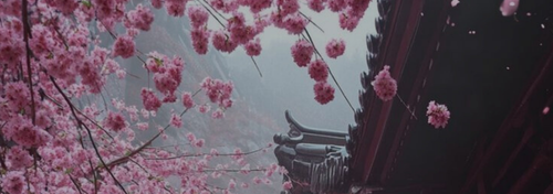 Untitled design (10).png