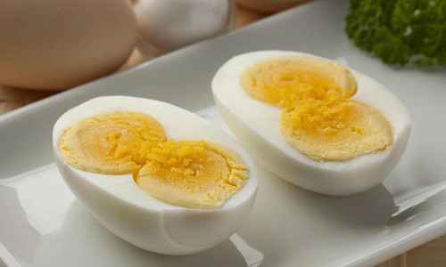 egg2511.jpg