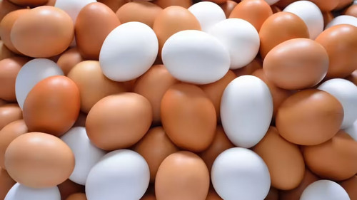 egg2510.jpg