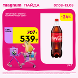 Magnum 1620x1620 1 tov 2025 08 06T112227.201