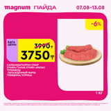Magnum 1620x1620 1 tov 2025 08 06T112243.758