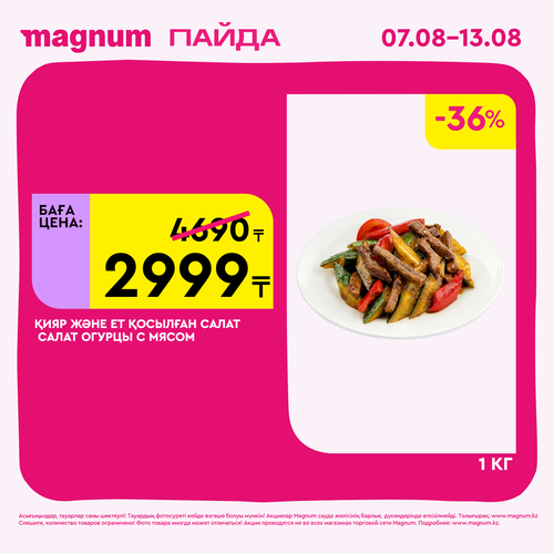 Magnum 1620x1620 1 tov 2025 08 06T112244.750.png