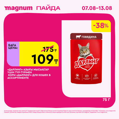 Magnum 1620x1620 1 tov 2025 08 06T112231.915.png