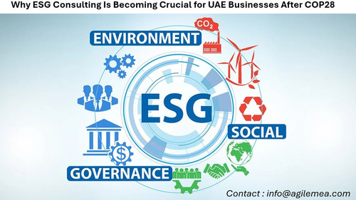ESG.jpg