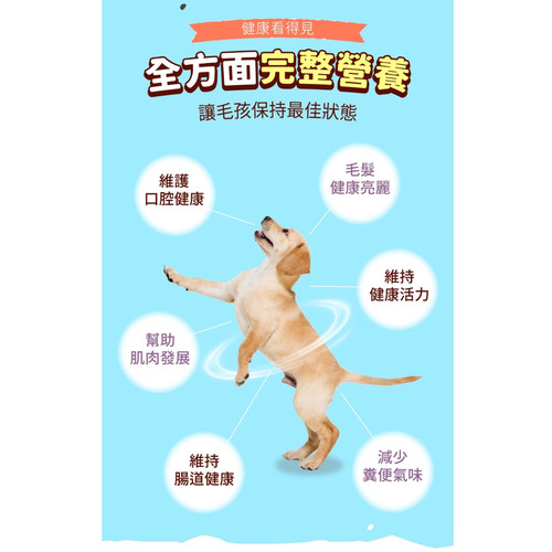 image WH 1200x1200px (42).jpg