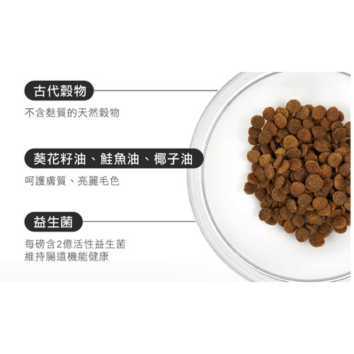 image WH 1200x1200px (22).jpg