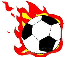 chicken chicken bro unscreen.gif