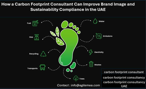 carbon footprint.jpg