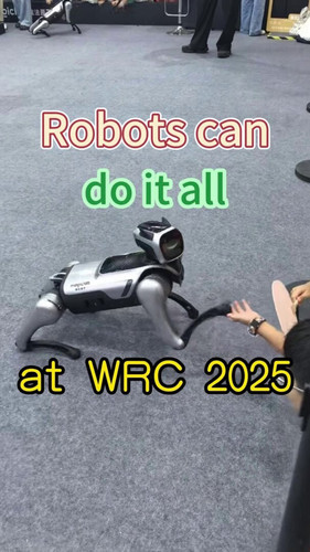 gZqchQ3T rIFiZjI.jpg