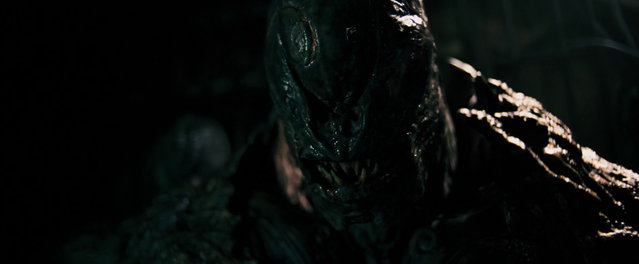 Vlcsnap-2025-08-11-07h02m27s480