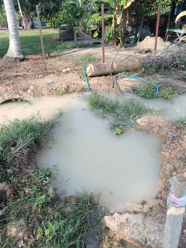 WhatsApp Image 2025 08 11 at 8.20.40 AM.jpg