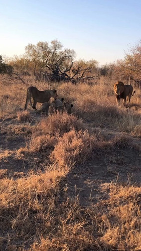 TEypbnlVS hFZ9S0.jpg