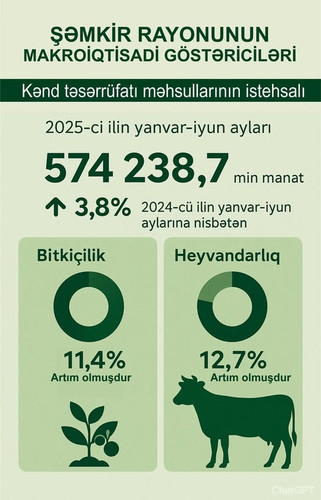 531273255 736799762397280 7636780387816301929 n.jpg?stp=dst jpg p526x296 tt6& nc cat=103&ccb=1 7& nc.jpg
