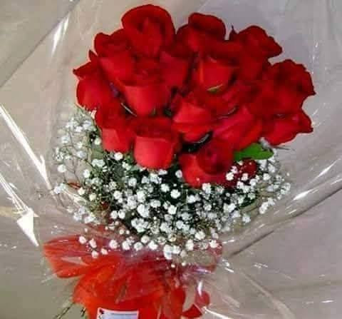 529868377 3232010280299863 6289915525538939073 n.jpg? nc cat=110&ccb=1 7& nc sid=833d8c& nc ohc=9V2T.jpg