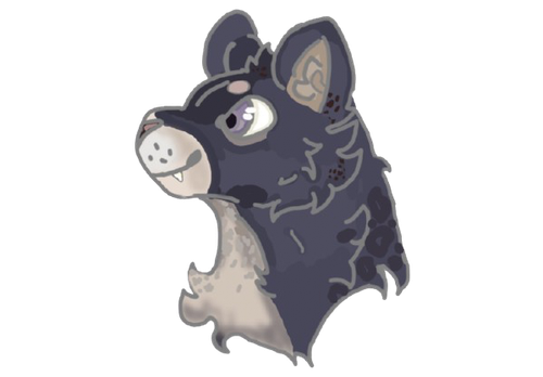 IMG 0475.png