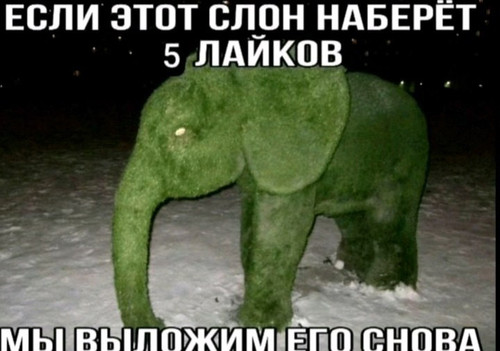 file 14424.jpg