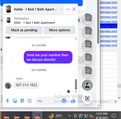 Hallie.png