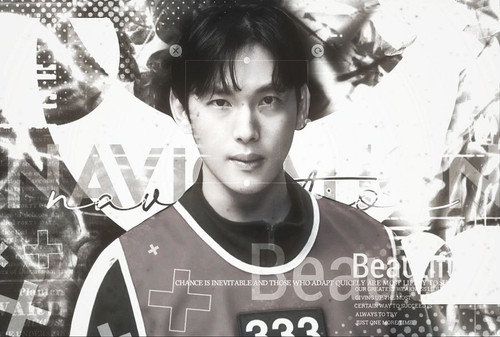 file 14429.jpg