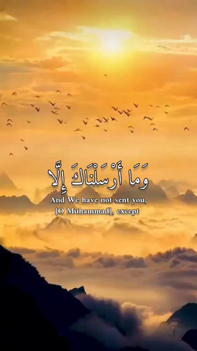 8J iDOFJT ewVnKk.jpg