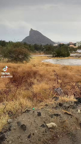 QC2Dgg2v9l wvJtf.jpg