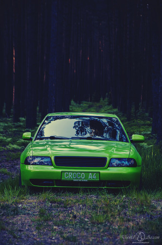 CROCO A4 17 2025.jpg