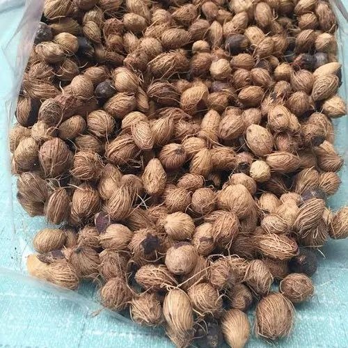 product jpeg 500x500.jpg