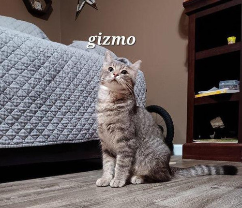 GxcjXN1bYAAOL9t.jpg