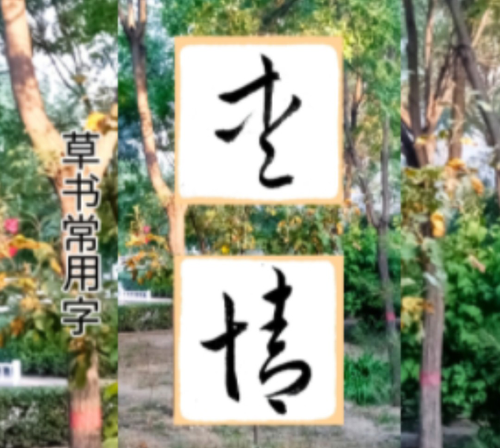 1000109880.png