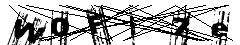 test.jpg