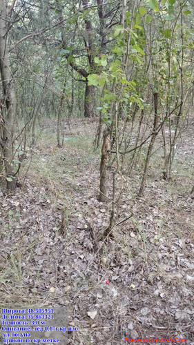 1000006829.jpg