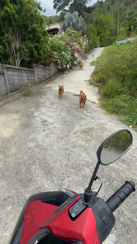 TWShwgjSbdoc1rkm.jpg