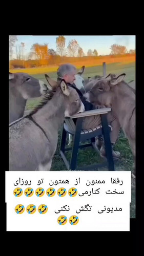 ruHkgJv58VhDmwy0.jpg