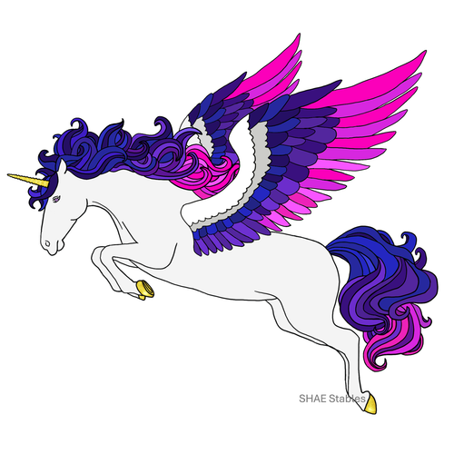 fantasy 1 no background marked.png