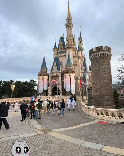 zG6 AwqB8RQ2ql1l.jpg