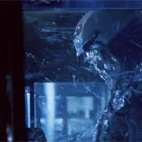 Terminator 2