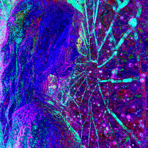 shattered dreams.gif