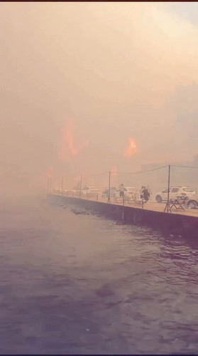 48Nguu g3nIhKF7S.jpg