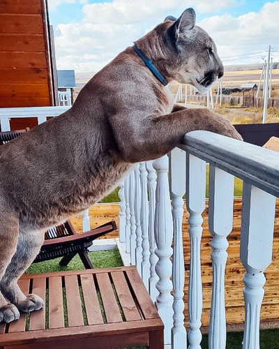 529347163 122263923176210504 5246385464208430450 n.jpg