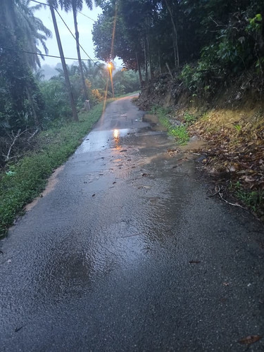 WhatsApp Image 2025 08 11 at 7.10.29 AM.jpg