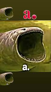 FQUslKx.png