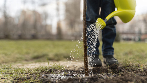 Contact us for Weed Control Services at +1 (913) 829-4949.jpg