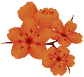 d93tfno bd035758 2f3c 42c0 acdc 3a443a64790d (1).png