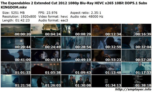 The Expendables 2 Extended Cut 2012 1080p Blu Ray HEVC x265 10Bit DDP5.1 Subs KINGDOM preview.jpg
