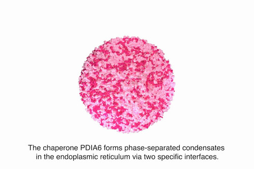 UKFHgZ2js lD0pYd.jpg