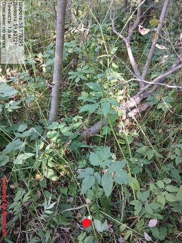 opjTv0U2xBb69vUah8PuqHeWl8HVQh39 94278632.jpg