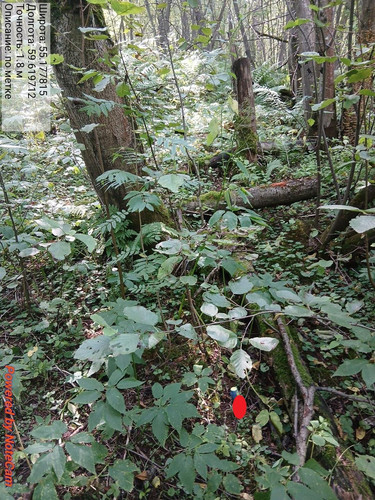 PfTS6SYvjxWJ0ZTqjjNK1heqeZkOpAs8 94285516.jpg